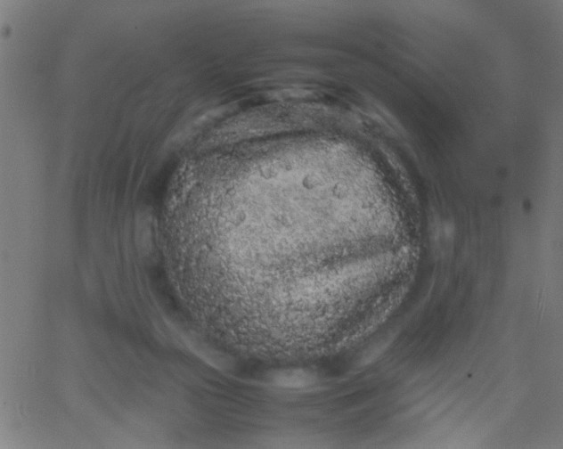 X0000067910169200604271927