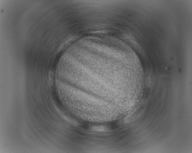 X0000067910171200604271927