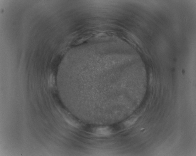 X0000067910173200604271927