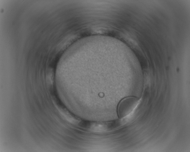 X0000067910174200604271927