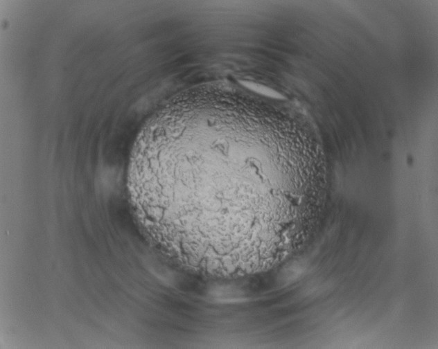 X0000067910177200604271927