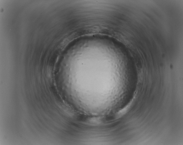 X0000067910178200604271927