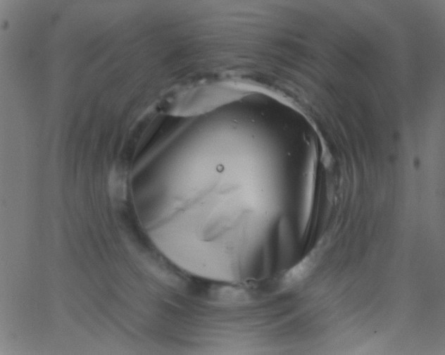 X0000067910180200604271927