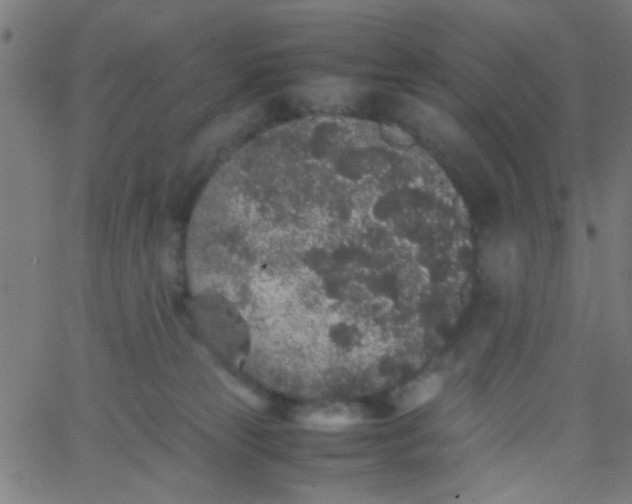 X0000067910181200604271927