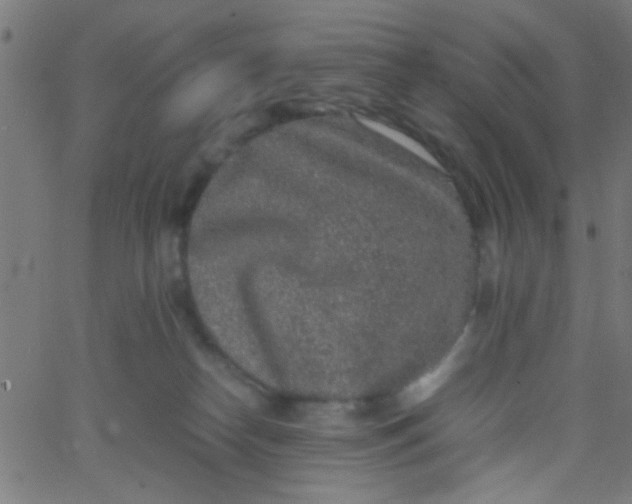 X0000067910182200604271927