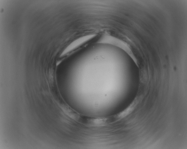 X0000067910184200604271927