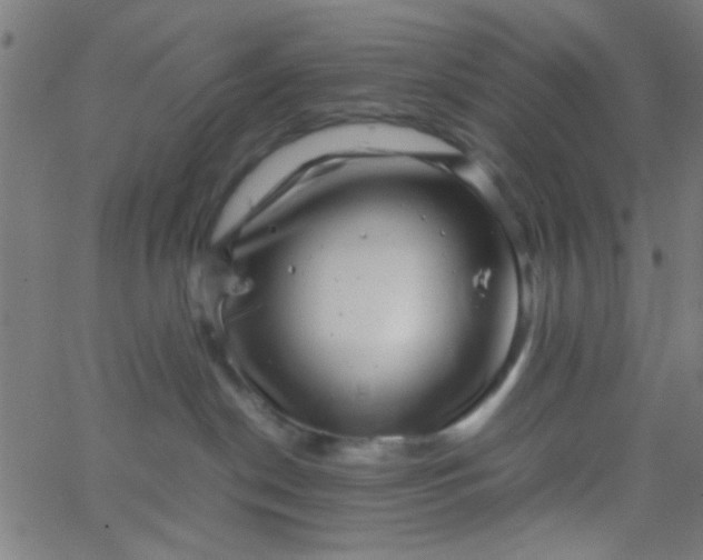 X0000067910190200604271927