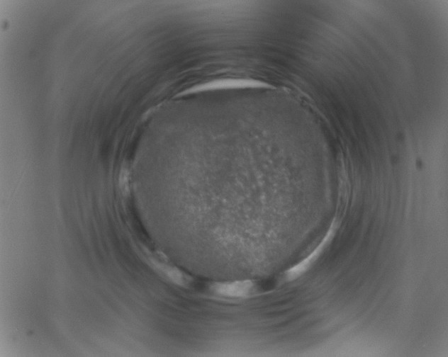 X0000067910191200604271927