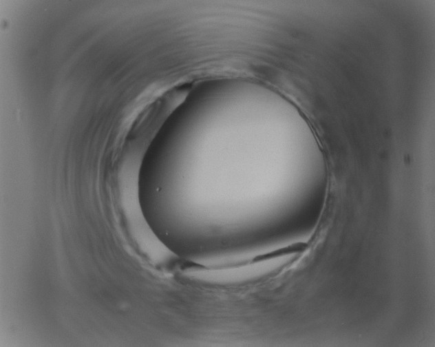 X0000067910193200604271926