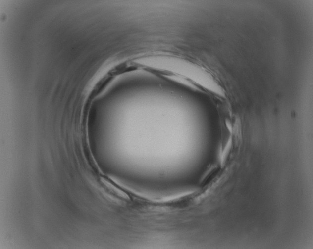 X0000067910195200604271926