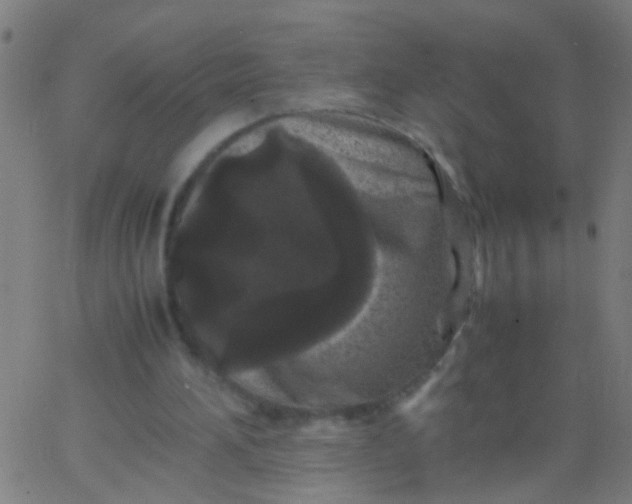 X0000067910196200604271926