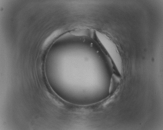 X0000067910197200604271926