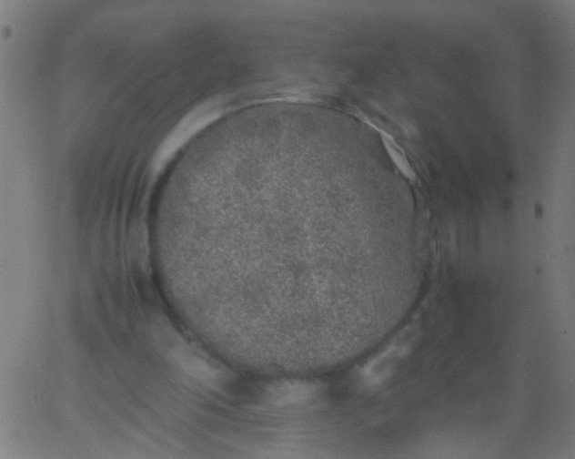 X0000067910198200604271926