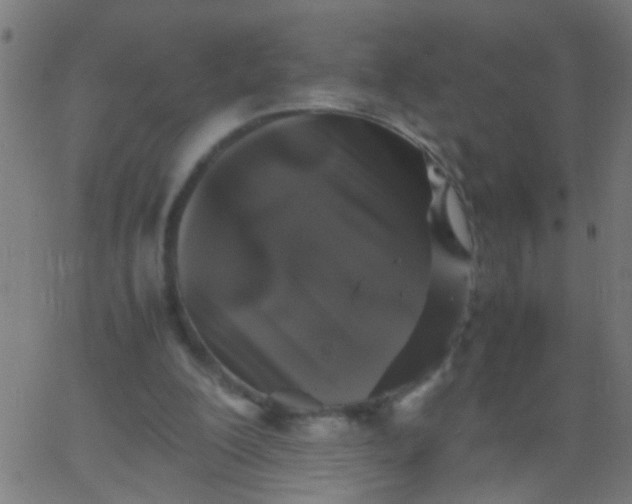 X0000067910200200604271926