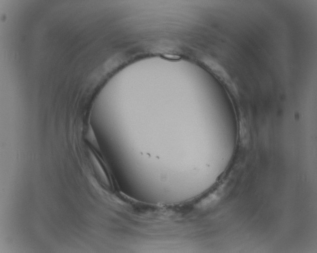 X0000067910201200604271926