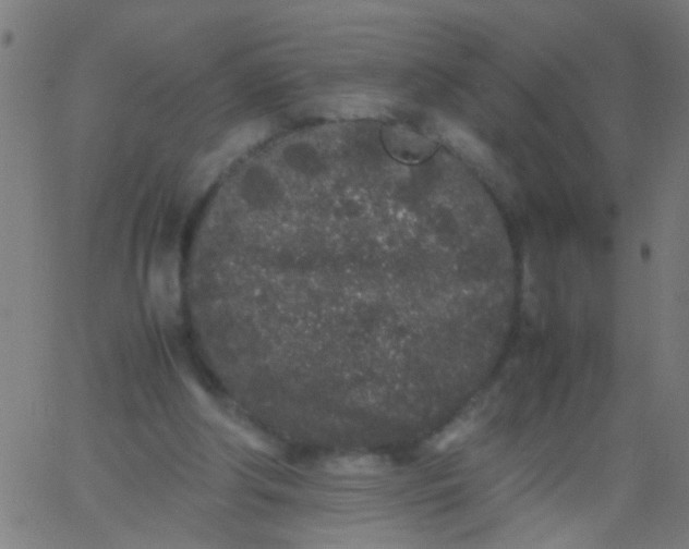 X0000067910202200604271926