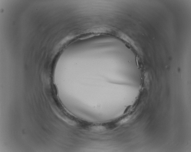 X0000067910203200604271926