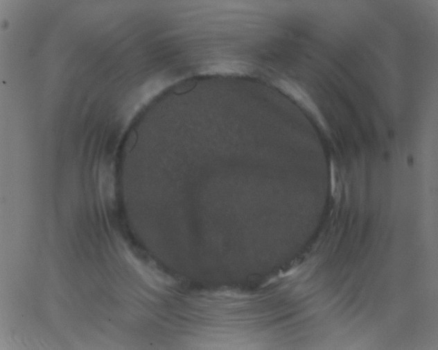 X0000067910204200604271926