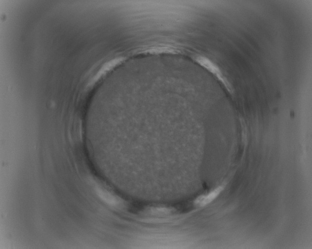 X0000067910205200604271926