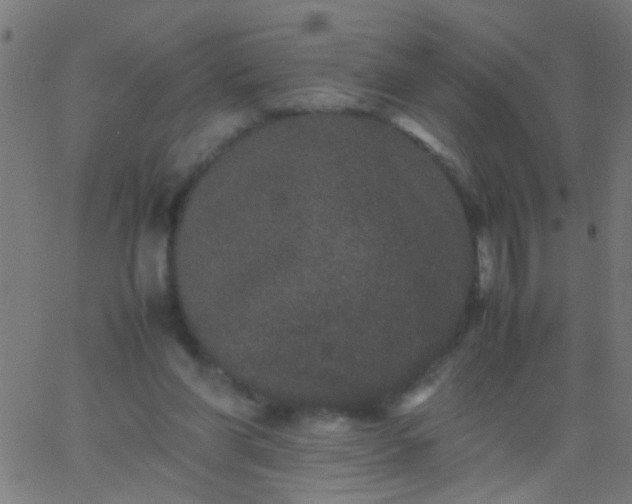 X0000067910206200604271926