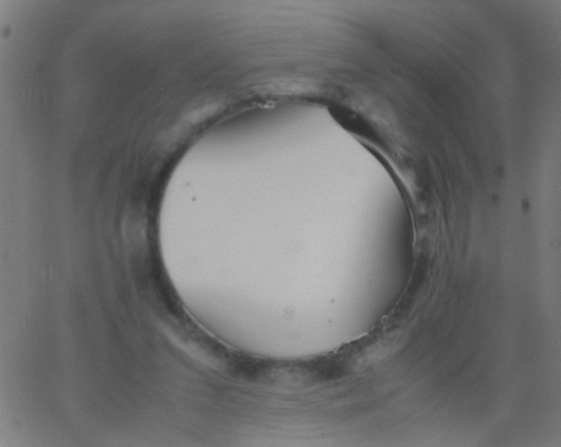 X0000067910207200604271926