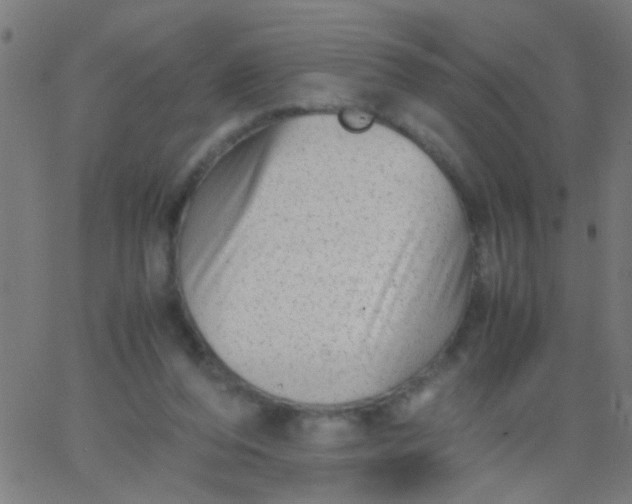 X0000067910208200604271926