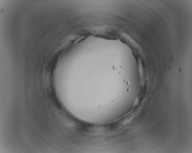 X0000067910209200604271926