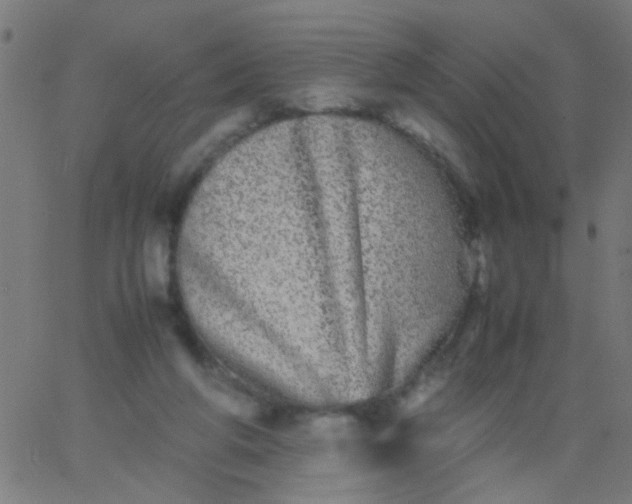 X0000067910210200604271926