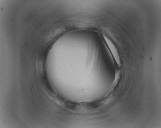 X0000067910211200604271926