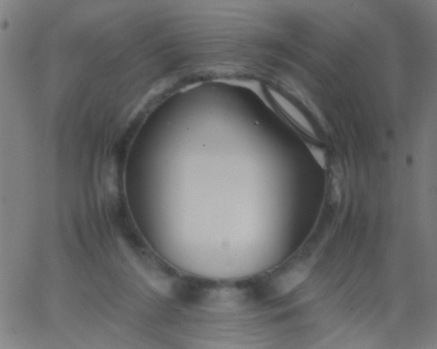 X0000067910212200604271926