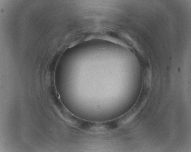 X0000067910213200604271926