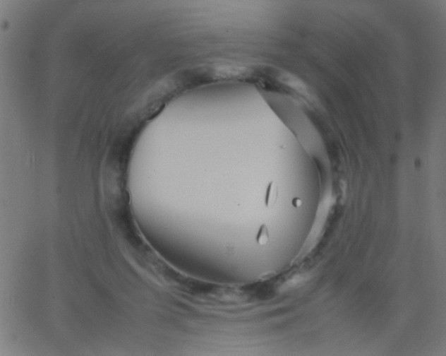 X0000067910215200604271926