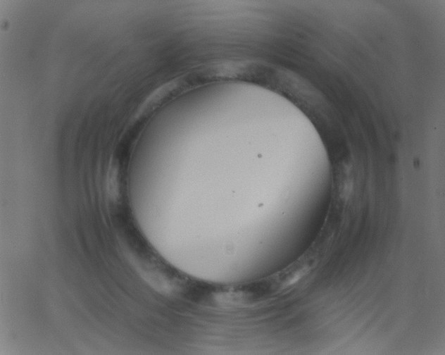 X0000067910216200604271926