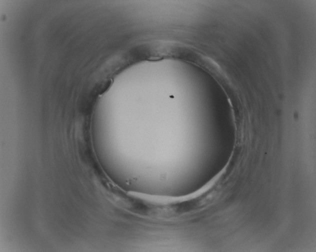 X0000067910217200604271926