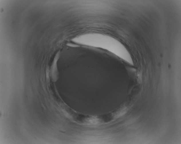 X0000067910219200604271926