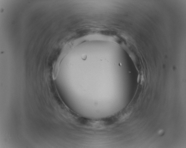 X0000067910221200604271926