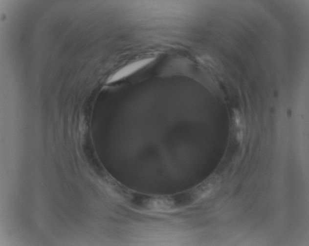 X0000067910223200604271926