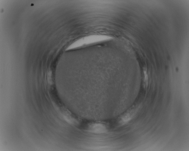 X0000067910224200604271926