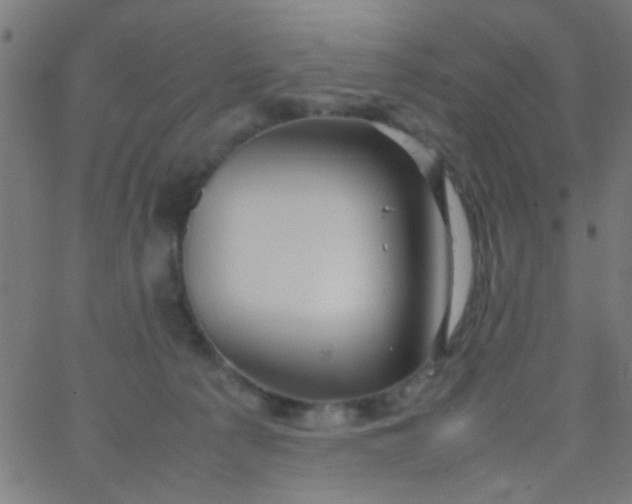 X0000067910225200604271926