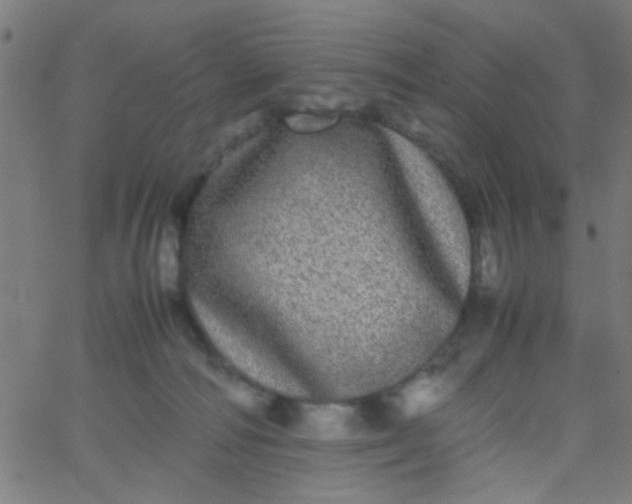 X0000067910226200604271926