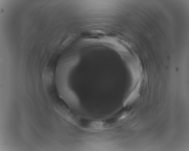 X0000067910227200604271926