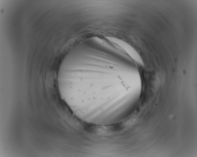 X0000067910229200604271926