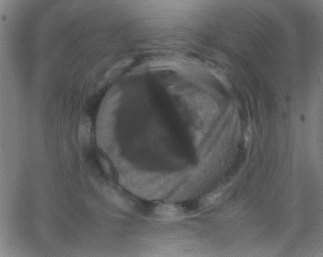 X0000067910231200604271926