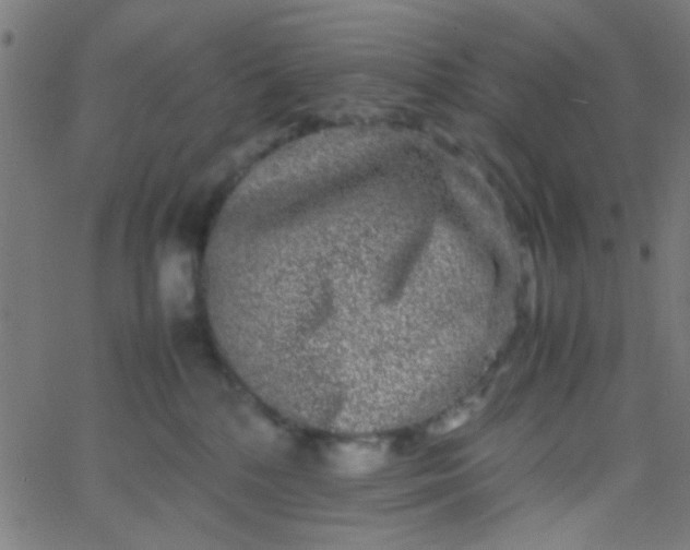 X0000067910232200604271926