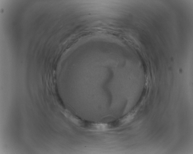 X0000067910233200604271926