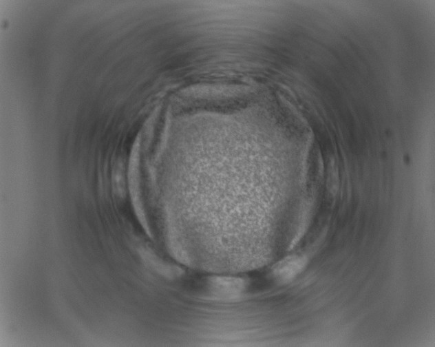 X0000067910234200604271926