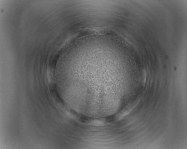 X0000067910236200604271926