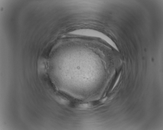 X0000067910237200604271926