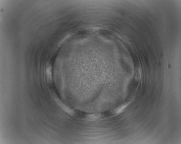 X0000067910238200604271926