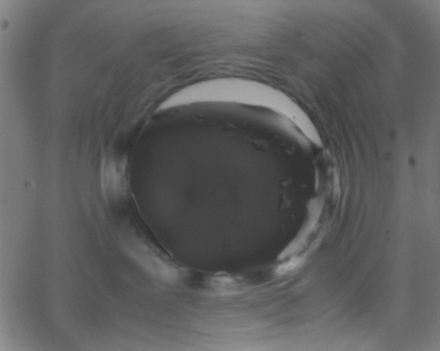 X0000067910239200604271926